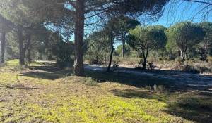 Продажа Участок земли 