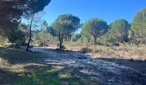 Продажа Участок земли 