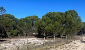 Продажа Участок земли 