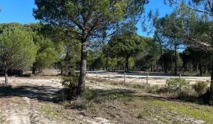 Продажа Участок земли 