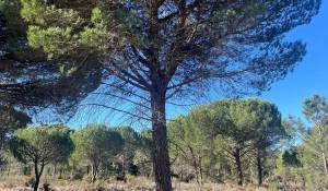 Продажа Участок земли 