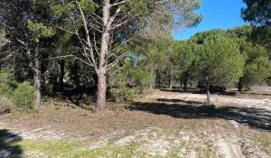 Продажа Участок земли 