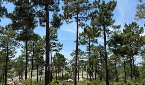 Продажа Участок земли Carvalhal