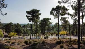 Продажа Участок земли Carvalhal