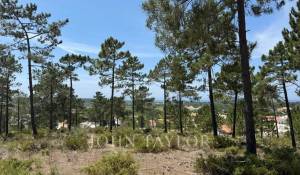 Продажа Участок земли Carvalhal