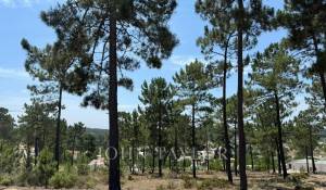 Продажа Участок земли Carvalhal