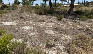 Продажа Участок земли Carvalhal