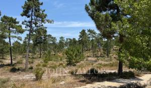 Продажа Участок земли Carvalhal