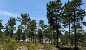 Продажа Участок земли Carvalhal