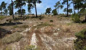 Продажа Участок земли Carvalhal