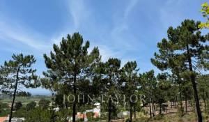 Продажа Участок земли Carvalhal