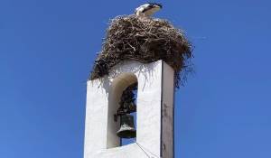 Продажа Участок земли Carvalhal