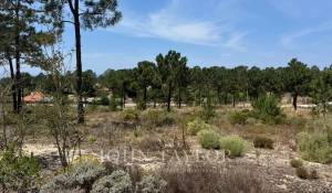 Продажа Участок земли Carvalhal