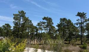 Продажа Участок земли Carvalhal