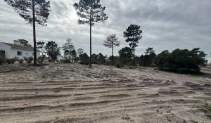 Продажа Участок земли Carvalhal