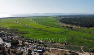 Продажа Участок земли Carvalhal