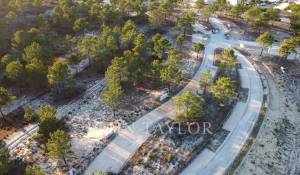 Продажа Участок земли Carvalhal