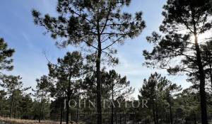 Продажа Участок земли Carvalhal