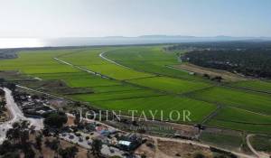 Продажа Участок земли Carvalhal