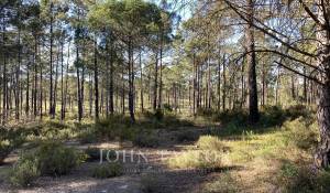 Продажа Участок земли Comporta