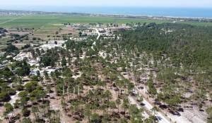 Продажа Участок земли Comporta