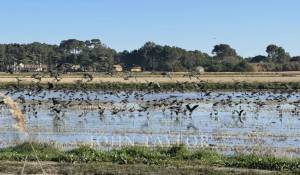 Продажа Участок земли Comporta