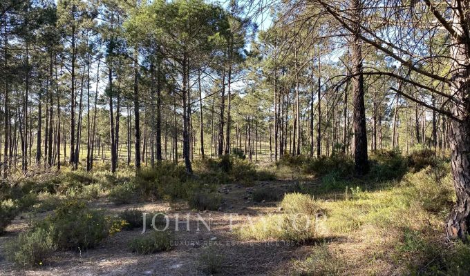 Продажа Участок земли Comporta