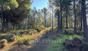 Продажа Участок земли Grândola e Santa Margarida da Serra