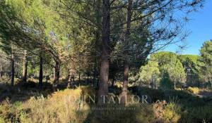 Продажа Участок земли Grândola e Santa Margarida da Serra