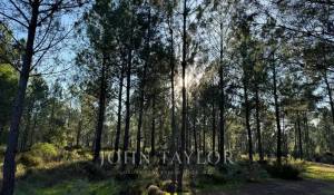 Продажа Участок земли Grândola e Santa Margarida da Serra