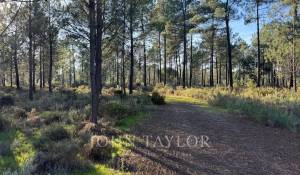 Продажа Участок земли Grândola e Santa Margarida da Serra