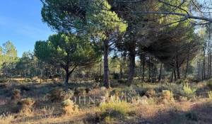 Продажа Участок земли Grândola e Santa Margarida da Serra