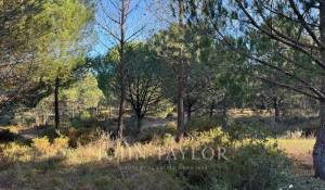 Продажа Участок земли Grândola e Santa Margarida da Serra