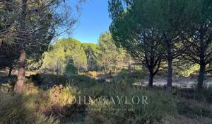 Продажа Участок земли Grândola e Santa Margarida da Serra