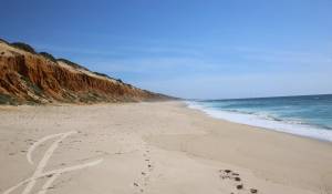 Продажа Участок земли Grândola e Santa Margarida da Serra