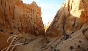 Продажа Участок земли Grândola e Santa Margarida da Serra