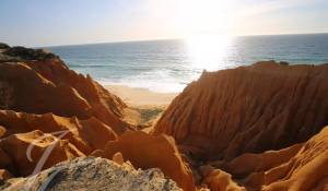 Продажа Участок земли Grândola e Santa Margarida da Serra