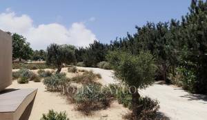 Продажа Участок земли Grândola e Santa Margarida da Serra
