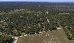 Продажа Участок земли Melides