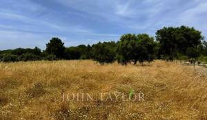 Продажа Участок земли Melides