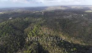 Продажа Участок земли São Francisco da Serra