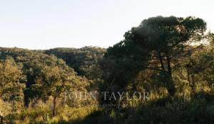 Продажа Участок земли São Francisco da Serra