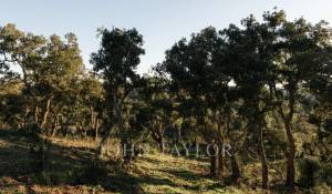 Продажа Участок земли São Francisco da Serra