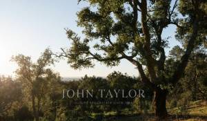 Продажа Участок земли São Francisco da Serra