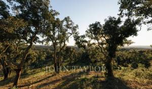 Продажа Участок земли São Francisco da Serra