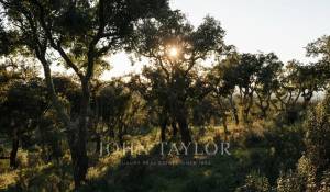 Продажа Участок земли São Francisco da Serra