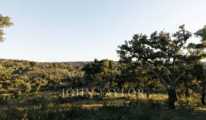 Продажа Участок земли São Francisco da Serra