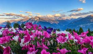 Продажа уровневые апартаменты Crans-Montana