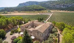 Продажа Усадьба Puigpunyent