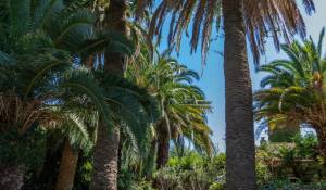 Продажа Вилла Antibes